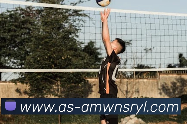 威尼斯人娱乐网站APP 体育赛事宣传图